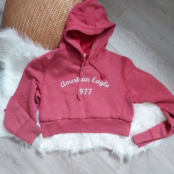 Cropped American Eagle reworked hoodie